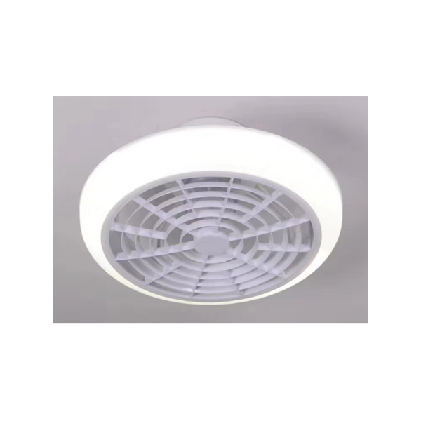 LED fan light