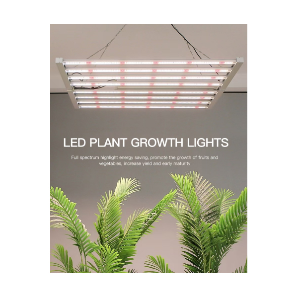 Plant growth lamp